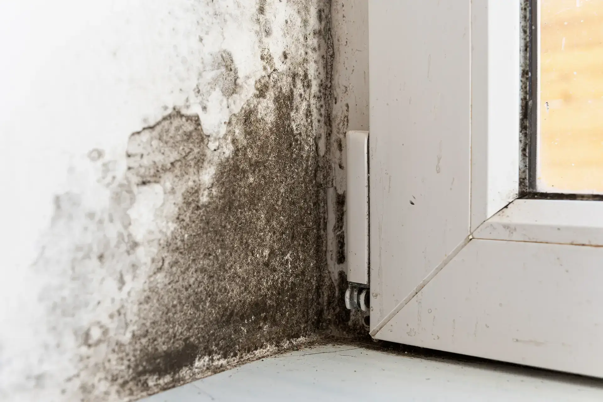 Restoring Your Property With Care And Precision — Riverside, CA